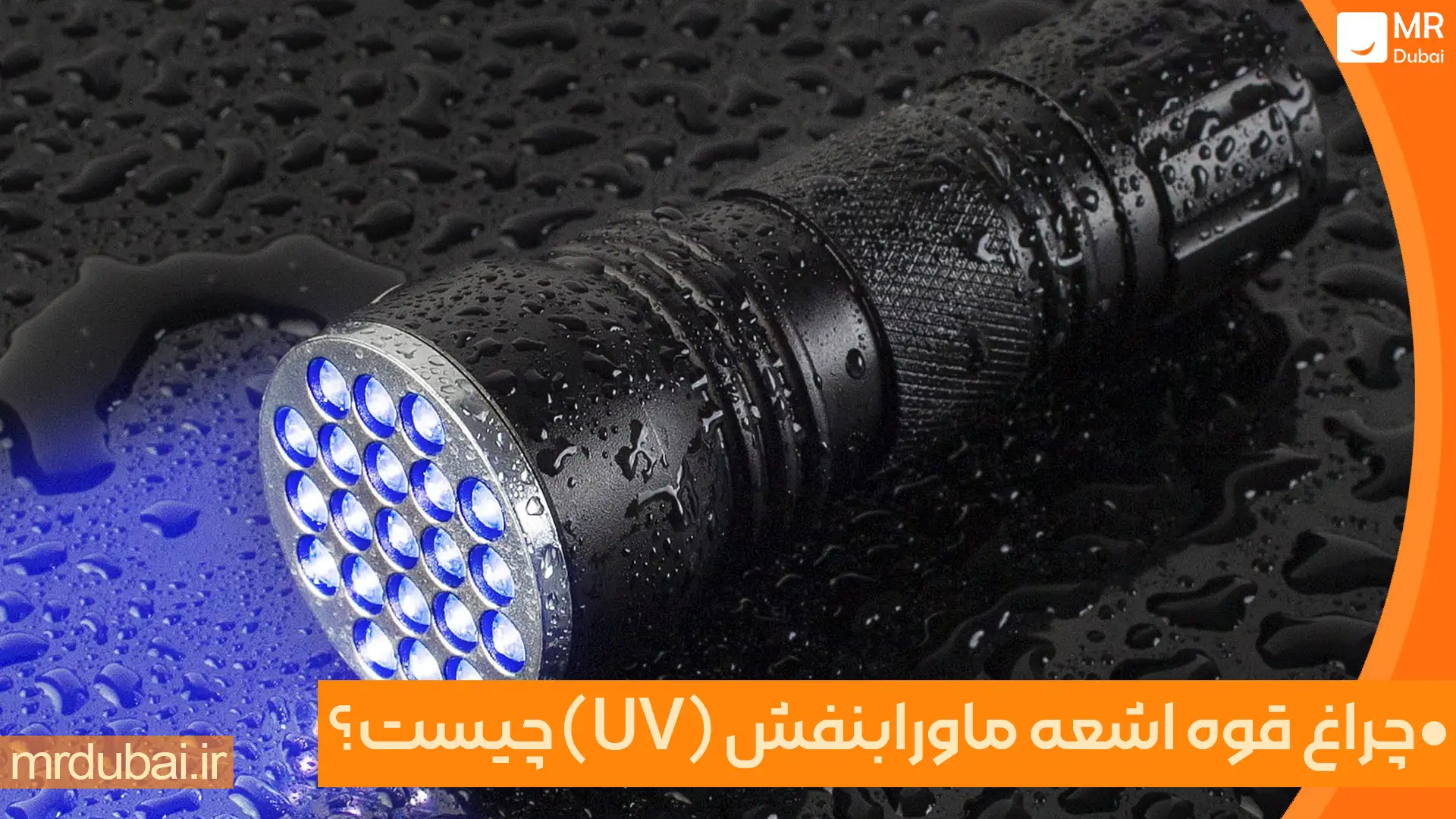 UV Light Flashlight image3