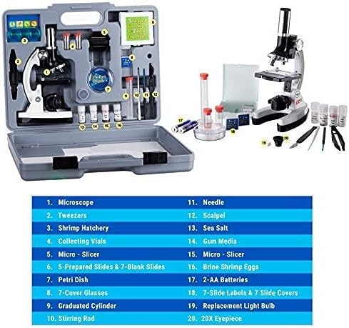 میکروسکوپ کودکان AmScope Kid's 1200X Microscope Kit