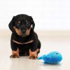 اسباب بازی حیوانات خانگی AWOOF Puppy Toys, 10 Pack Cute Puppy Plush Chew Squeaky Dog Toys for Boredom