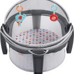صندلی قابل حمل نوزاد Fisher-Price On-the-Go Baby Dome