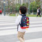 61+55Msc6ZS._AC_SX569_