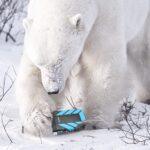 616hn-rbpxS._AC_SL1200_