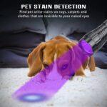 61+JXLFm8XL._AC_SX522_