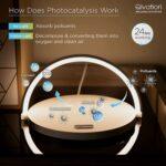 71IqG3StfUL._AC_SL1500_