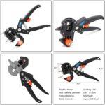 71+IuyCDKnL._AC_SL1500_