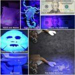 71V54pkppIL._AC_SL1200_