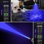 71ZPJ7rQCiL._AC_SX522_