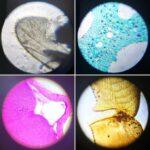 71jgNvdcmzL._AC_SX679_