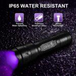 81ipMsg+6fL._AC_SL1500_