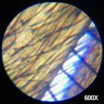 81wSPWBBPpL._AC_SL1500_