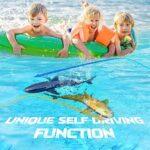 91Up6vajREL._AC_SX522_