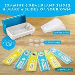 91XQCWtmHuL._AC_SX679_