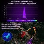 پیدا کردن عقرب