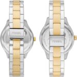 51-8wil1fAL._AC_SX679_